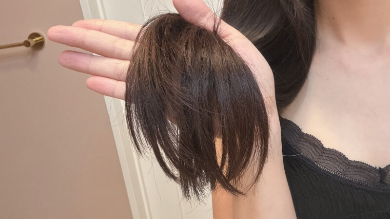 髪の毛